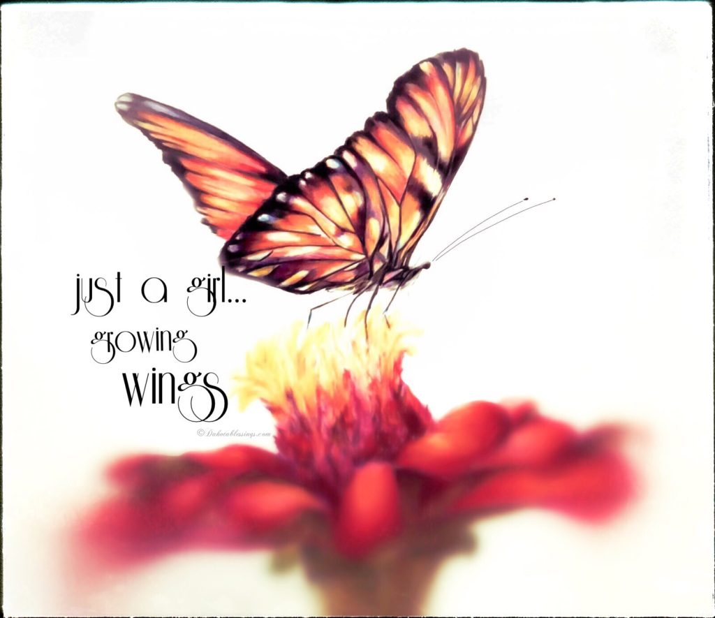 Orange butterfly with quote