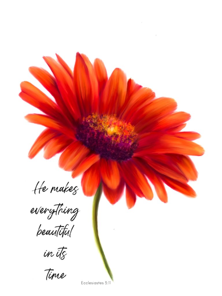 Red daisy artwork