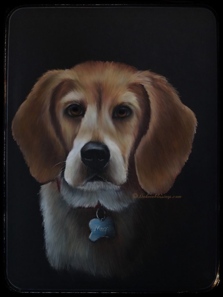 Commissioned dog portrait