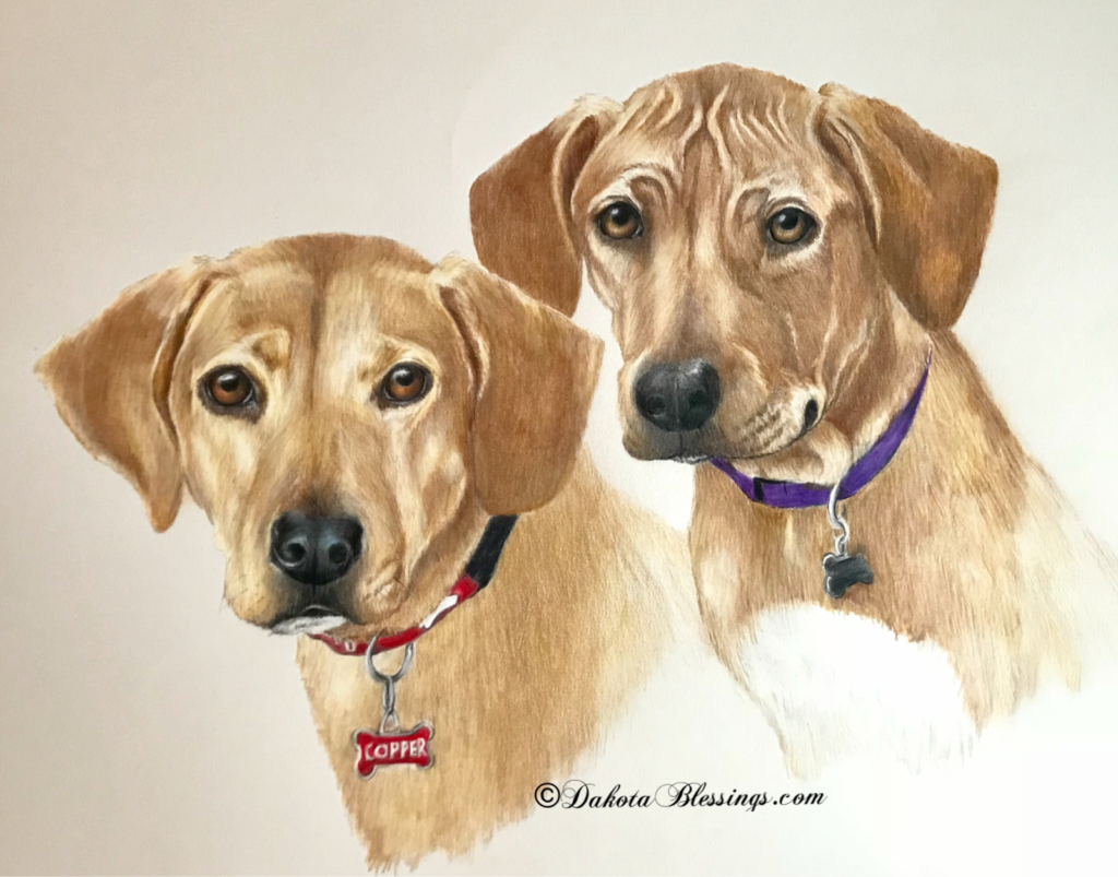 Dog commissions