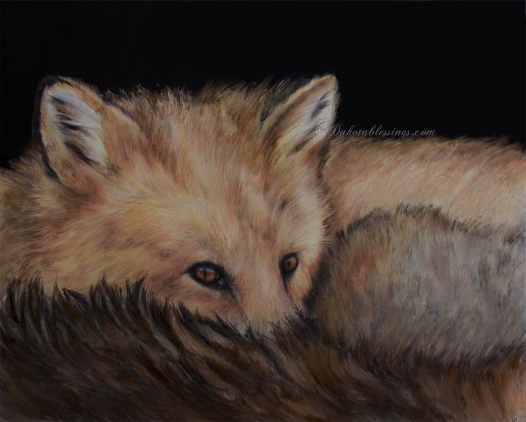 Fox art, animal artwork, wildlife aryist