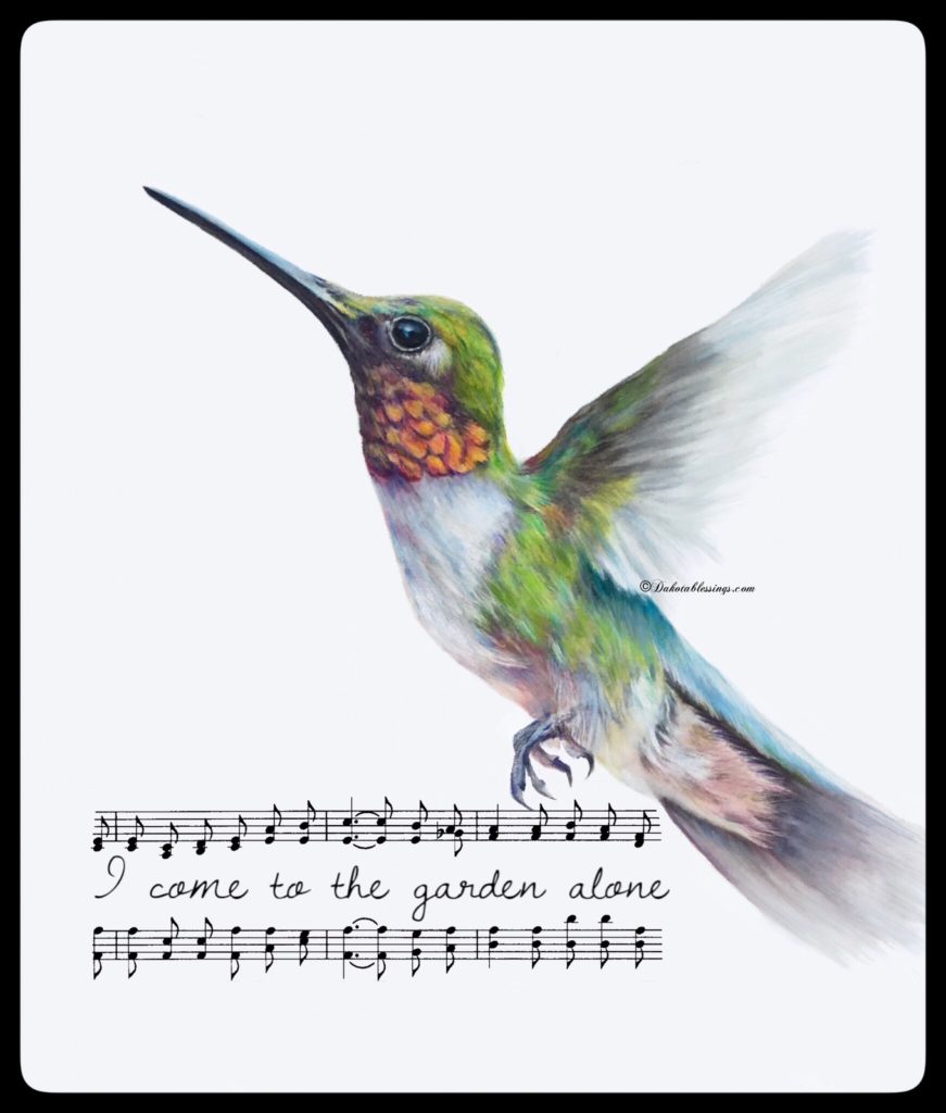 Hummingbird artwork, nature