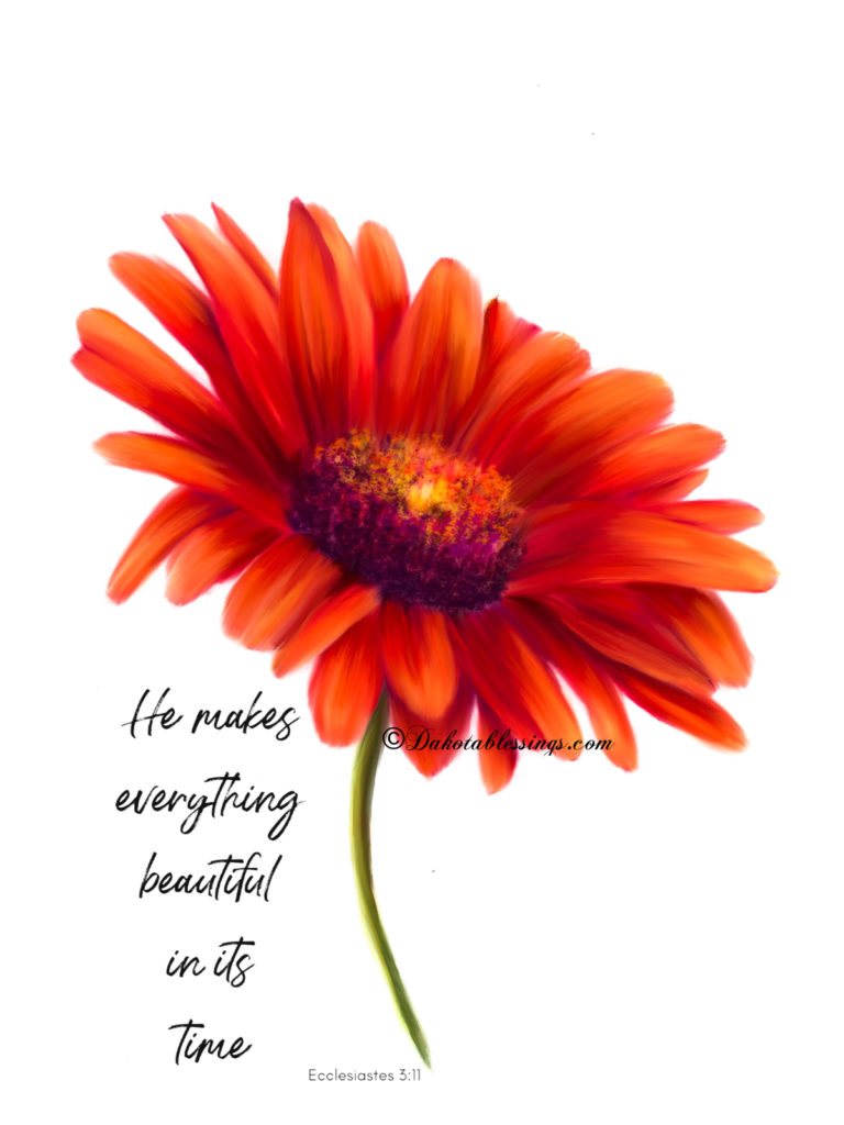 Red daisy artwork