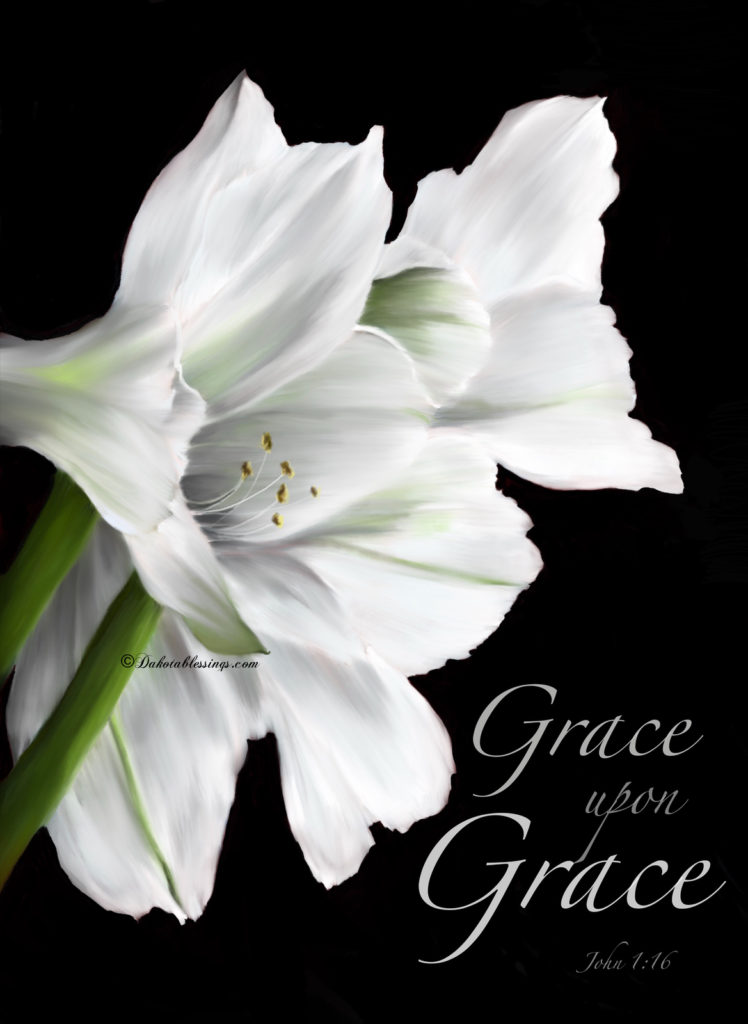 White flowers with scripture