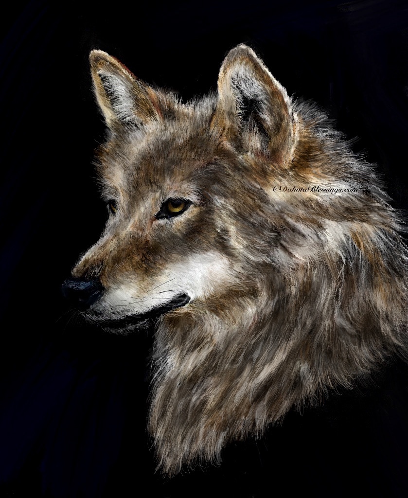 Wolf art print for sale