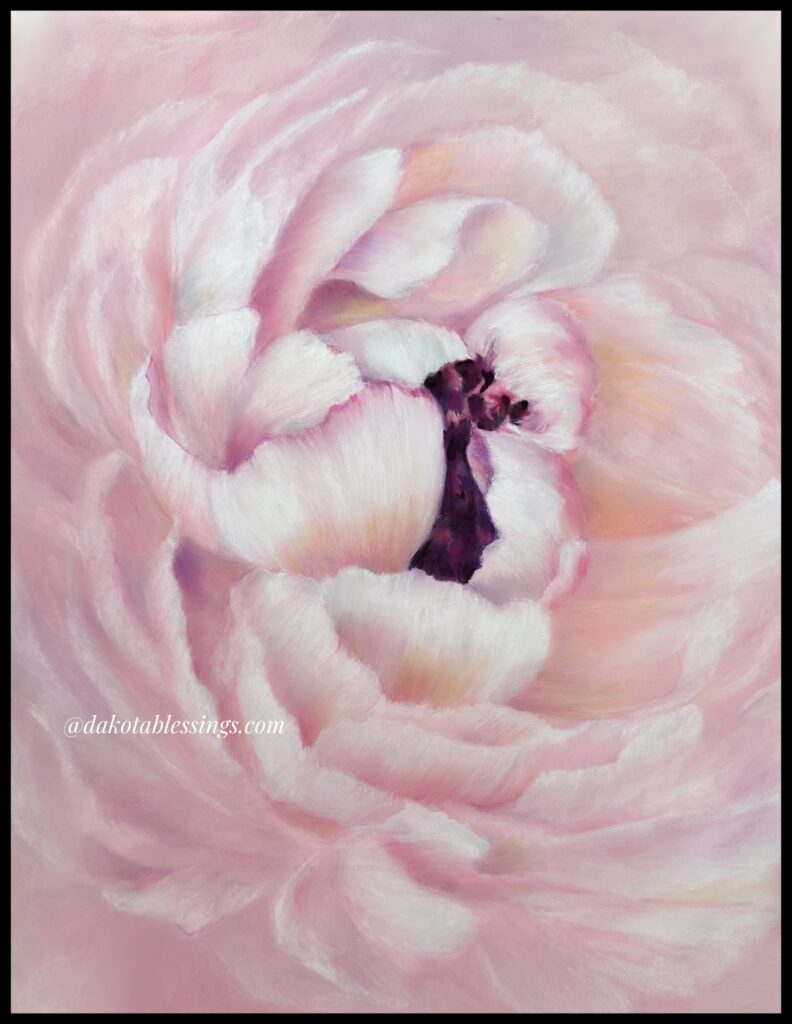 Fine art | Floral art | Peonie